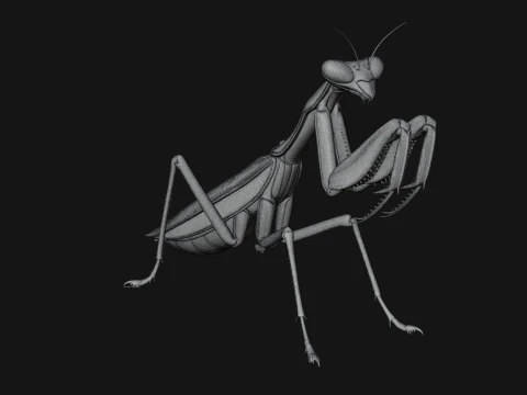 Praying Mantis Statue Design 11 - 3D Print Model 3D Print Model
