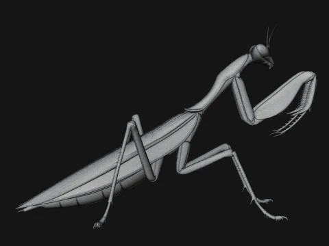 Praying Mantis Statue Design 11 - 3D Print Model 3D Print Model