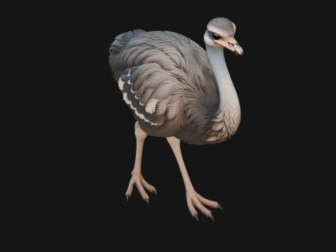 Ostrich Bird Statue Design 3 - 3D Print Model 3D Print Model