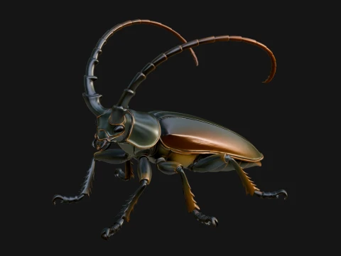 Beetle Statue Design 34 - 3D Print Model 3D Print Model