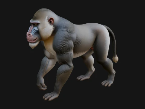 Baboon Statue Design 9 - 3D Print Model Modello di stampa 3D