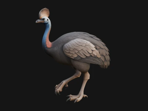 Cassowary Bird Statue Design 4 - 3D Print Model 3D Print Model