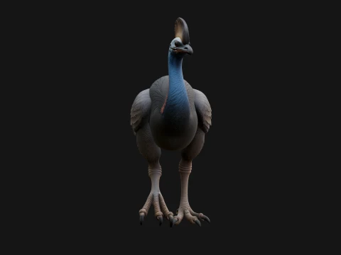 Cassowary Bird Statue Design 4 - 3D Print Model 3D Print Model