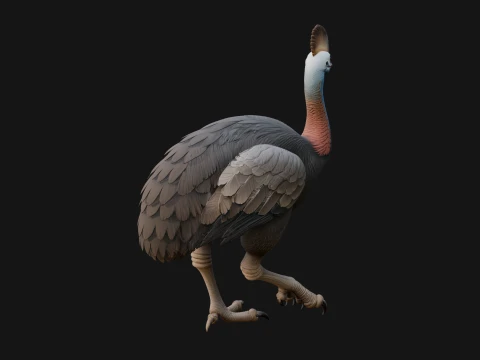 Cassowary Bird Statue Design 4 - 3D Print Model 3D Print Model