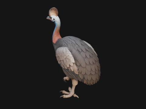 Cassowary Bird Statue Design 4 - 3D Print Model 3D Print Model