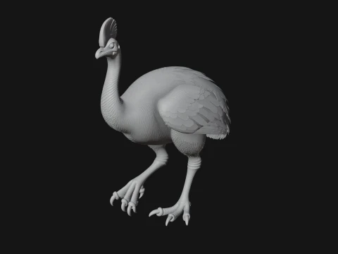 Cassowary Bird Statue Design 4 - 3D Print Model 3D Print Model