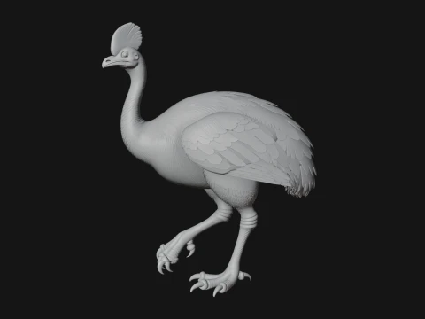 Cassowary Bird Statue Design 4 - 3D Print Model 3D Print Model