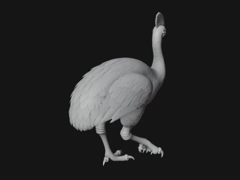 Cassowary Bird Statue Design 4 - 3D Print Model 3D Print Model