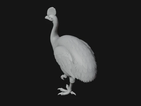 Cassowary Bird Statue Design 4 - 3D Print Model 3D Print Model