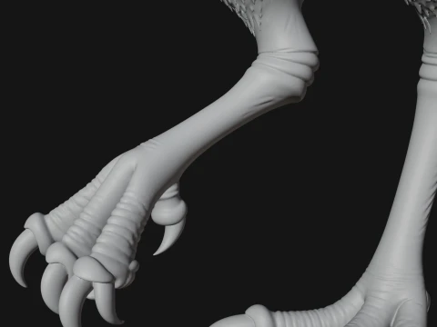 Cassowary Bird Statue Design 4 - 3D Print Model 3D Print Model
