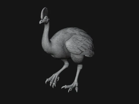 Cassowary Bird Statue Design 4 - 3D Print Model 3D Print Model