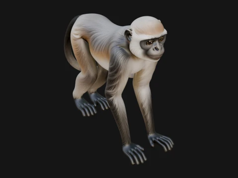 Monkey Statue Design 31 - 3D Print Model 3D Print Model