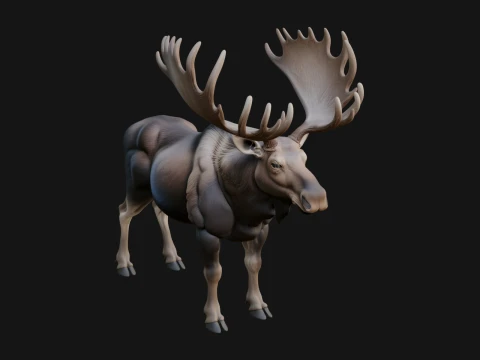 Bull Moose Statue Design 4 - 3D Print Model 3D Print Model