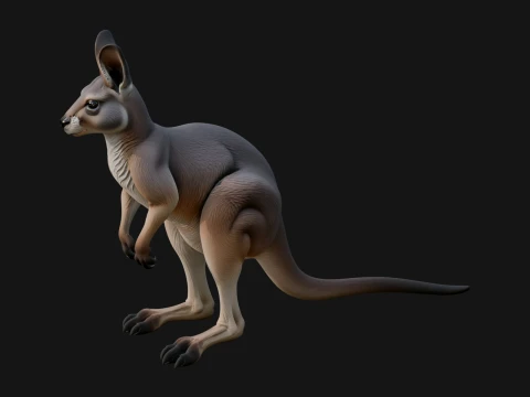 Kangaroo Statue Design 8 - 3D Print Model 3D Print Model