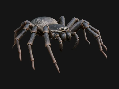 Spider Statue Design 13 - 3D Print Model 3D Print Model