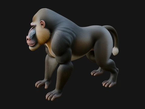 Baboon Statue Design 11 - 3D Print Model 3D 프린트 모델