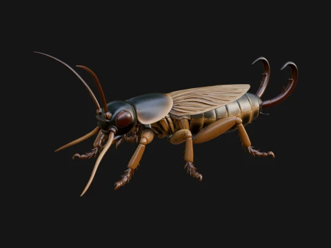 Katydid Statue Design 17 - 3D Print Model 3D Print Model