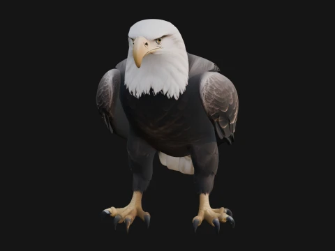 Bald Eagle Bird Statue Design 1 - 3D Print Model 3D Print Model