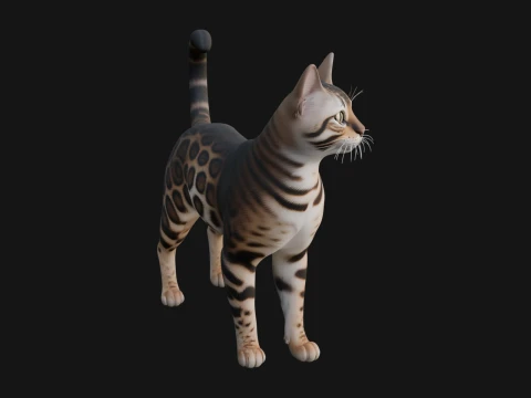 벵골 하우스 고양이 동상 디자인 1 - 3D 인쇄 모델 3D 프린트 모델