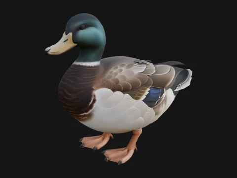 Mallard Duck Statue Design 1 - 3D Print Model 3D Print Model