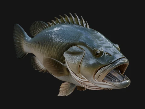 Bass Fish Statue Design 1 - 3D Print Model 3D Print Model