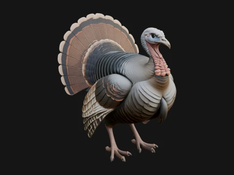 Turkey Bird Statue Design 1 - 3D Print Model Modelo de impresión 3D