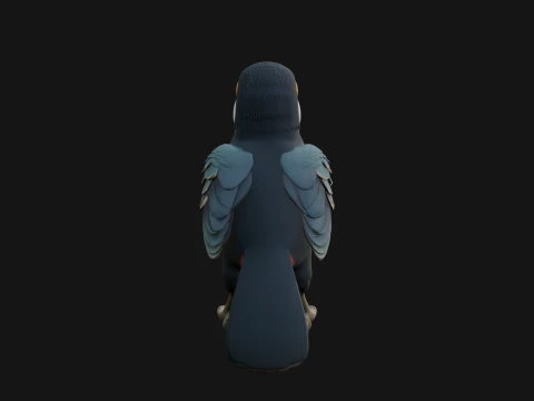 Toucan Bird Statue Design 2 - 3D Print Model 3D Print Model