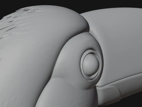 Toucan Bird Statue Design 2 - 3D Print Model 3D Print Model