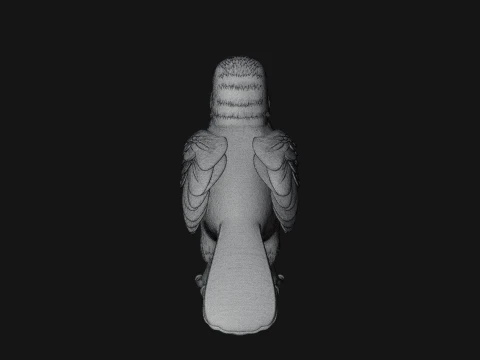 Toucan Bird Statue Design 2 - 3D Print Model 3D Print Model