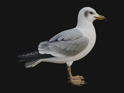 Dise&ntilde;o de estatua de p&aacute;jaro gaviota 1 - Modelo de impresi&oacute;n 3D Modelo de impresión 3D