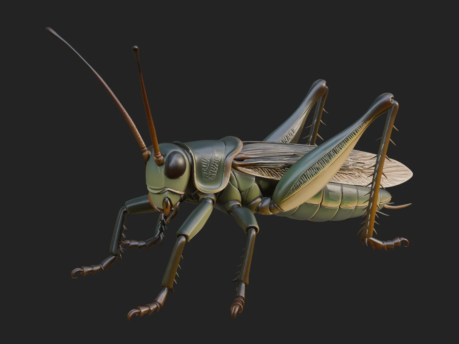 Katydid Statue Design 4 - 3D Print Model 3D Print Model .c4d .max .obj .3ds .fbx .stl .blend 