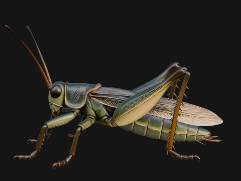 Katydid Statue Design 4 - 3D Print Model 3D Print Model