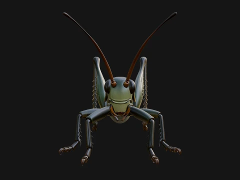 Katydid Statue Design 4 - 3D Print Model 3D Print Model