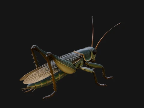 Katydid Statue Design 4 - 3D Print Model 3D Print Model