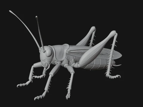 Katydid Statue Design 4 - 3D Print Model 3D Print Model
