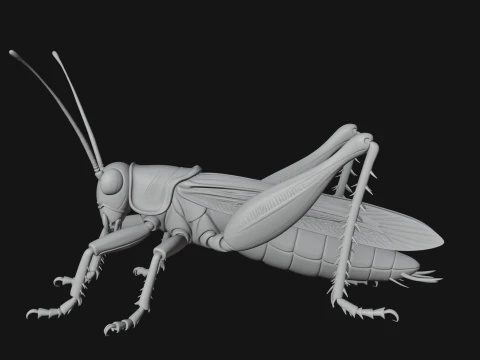 Katydid Statue Design 4 - 3D Print Model 3D Print Model