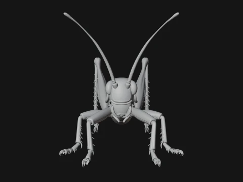 Katydid Statue Design 4 - 3D Print Model 3D Print Model