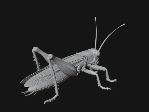 Katydid Statue Design 4 - 3D Print Model 3D Print Model