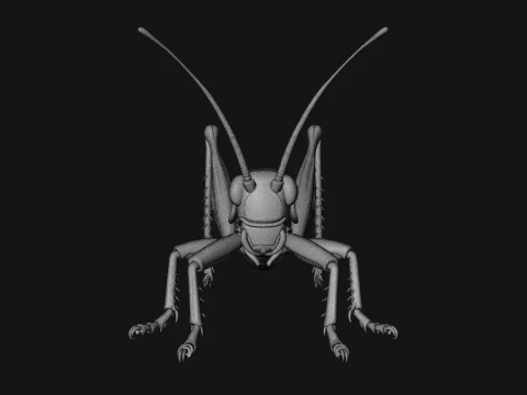 Katydid Statue Design 4 - 3D Print Model 3D Print Model
