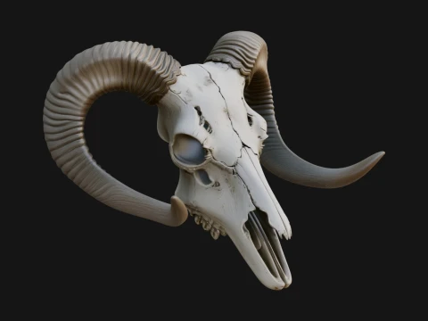 Montaggio a parete con teschio di ariete Design 9 - Modello di stampa 3D Modello di stampa 3D