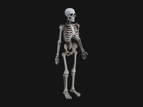 Skeleton Warrior Statue Design 18 - 3D Print Model 3D Print Model