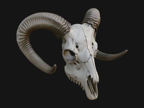 Ram Skull Wall Mount Design 10 - 3D Print Model Modello di stampa 3D