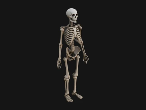 Skeleton Warrior Statue Design 21 - 3D Print Model 3D Print Model