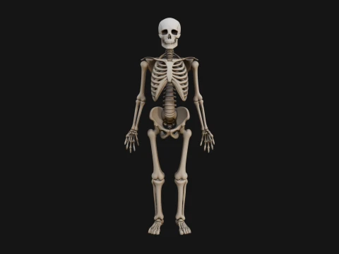 Skeleton Warrior Statue Design 21 - 3D Print Model 3D Print Model