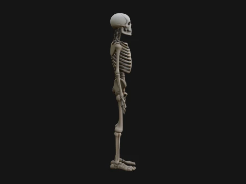 Skeleton Warrior Statue Design 21 - 3D Print Model 3D Print Model