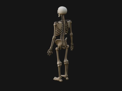 Skeleton Warrior Statue Design 21 - 3D Print Model 3D Print Model