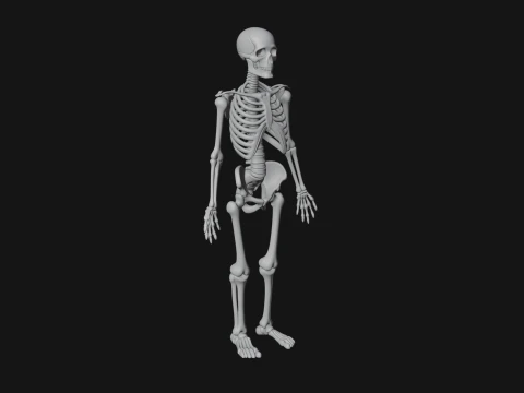 Skeleton Warrior Statue Design 21 - 3D Print Model 3D Print Model