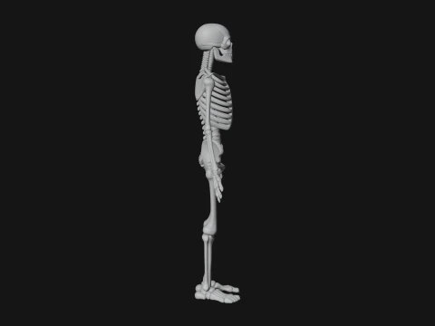 Skeleton Warrior Statue Design 21 - 3D Print Model 3D Print Model