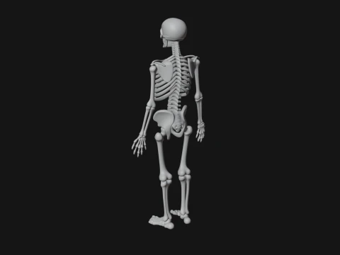 Skeleton Warrior Statue Design 21 - 3D Print Model 3D Print Model