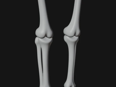 Skeleton Warrior Statue Design 21 - 3D Print Model 3D Print Model